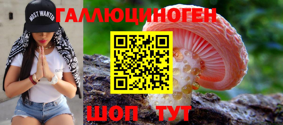 Балтийск  Псилоцибиновые грибы мухоморы  Вход с VPN 